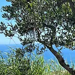 Bella Vista - Fantastischer Meerblick By Interhome 公寓 Poggi